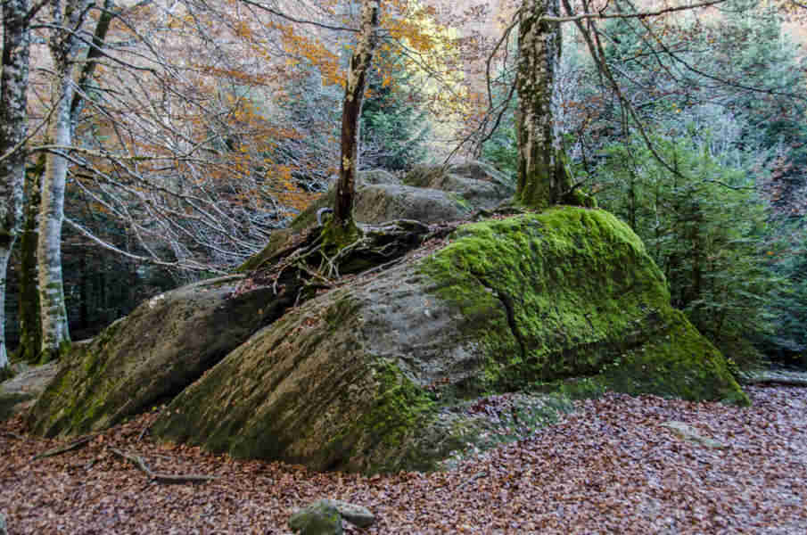 Huesca - parque nacional de Ordesa y Monte Perdido - valle de Ordesa 12 - piedra de las siete Faus.jpg